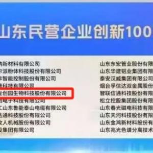 喜報丨AG廳創園入選2025山東民營企業100強
