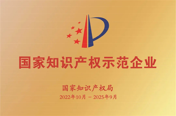 國家知識產(chǎn)權(quán)示范企業(yè) 國家知識產(chǎn)權(quán)示范企業(yè)